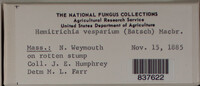 Image Associated With the Occurence